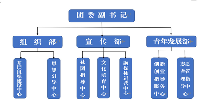 团委组织架构图图片